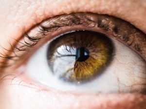 Bionisesta linssistä apua näköongelmiin?